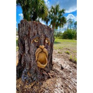 Tree Face, Tree Faces Outdoor, Tree Art, Tree Decorations Outdoor, Tree Faces
